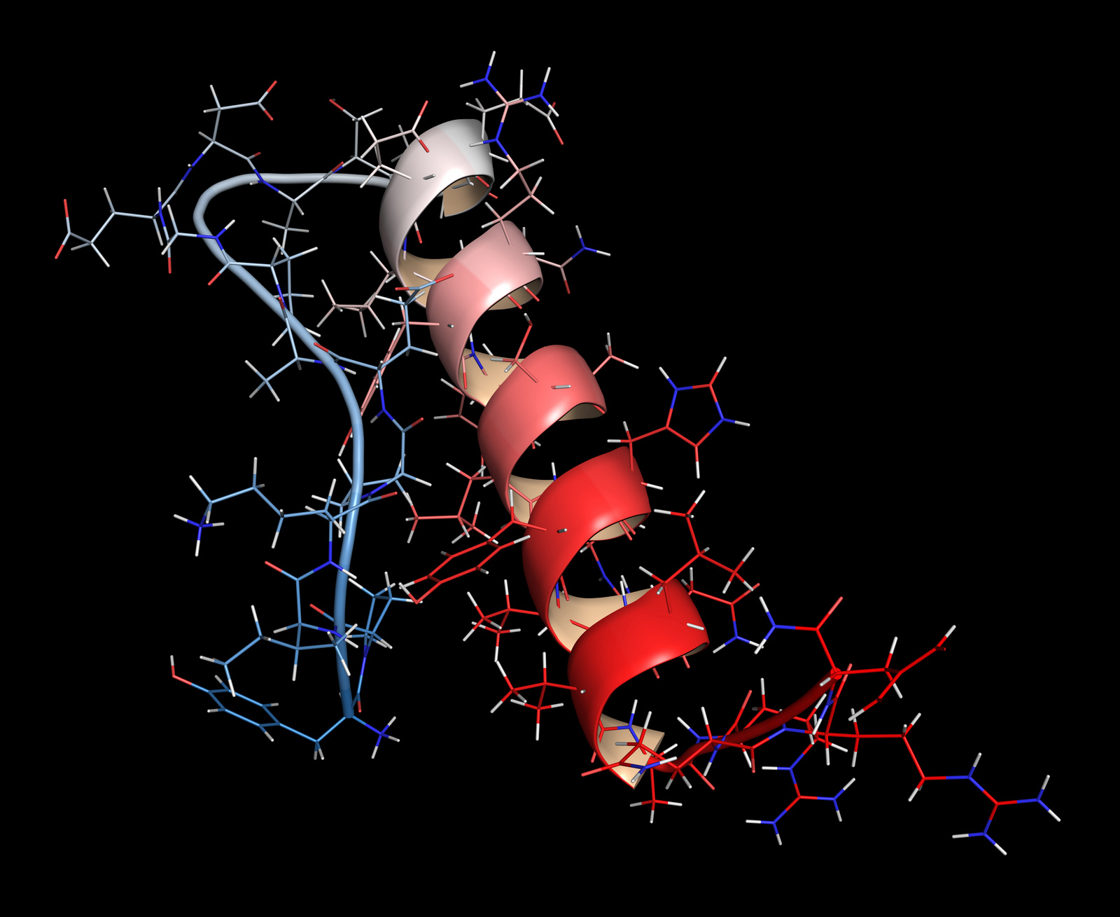 Peptide YY (PYY) appetite reducing polypeptide.